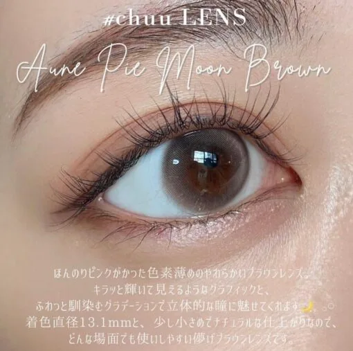 CHUU - Aube Pie Monthly Moon brown (2pcs) - Image 2